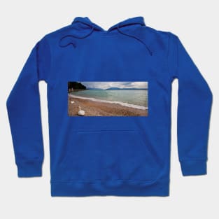 Sirmione Swans Hoodie